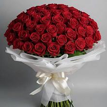 Букет 101 Красная роза Блэк Мэджик в Монетный