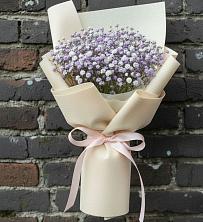 Букет цветов из:  Гипсофила в Монетный