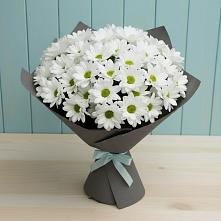 Букет цветов из:  Хризантемы #REPLACE_PRED# Монетный