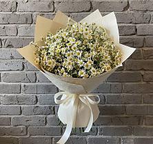 Букет цветов из:  Ромашки #REPLACE_PRED# Монетный