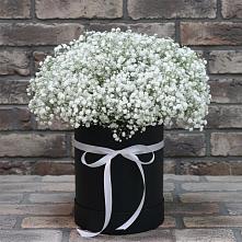 Цветочная композиция из Гипсофила в шляпной коробке в Монетный