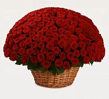 Премиум букет из: Розы в Монетный