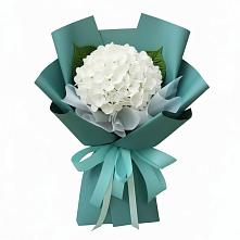 Букет цветов из:  Гортензия в Монетный